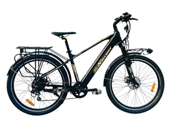 Xe đạp điện Sallway Al 640 Pro